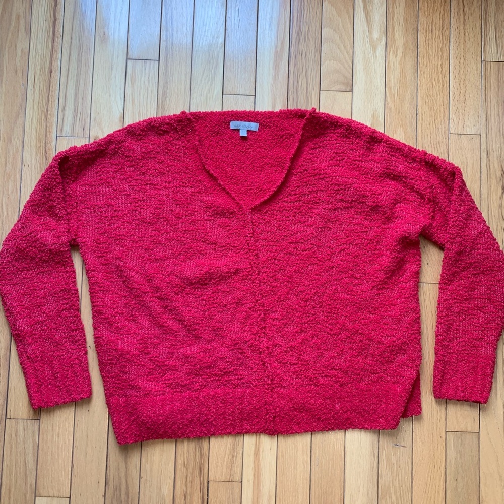 Wonderly Red Fuzzy Sweater